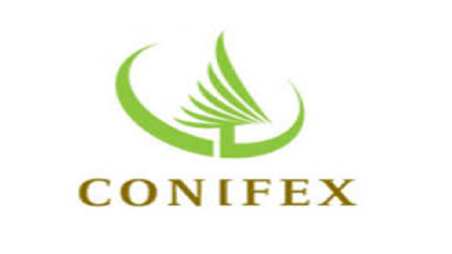 Conifex Timber company logo